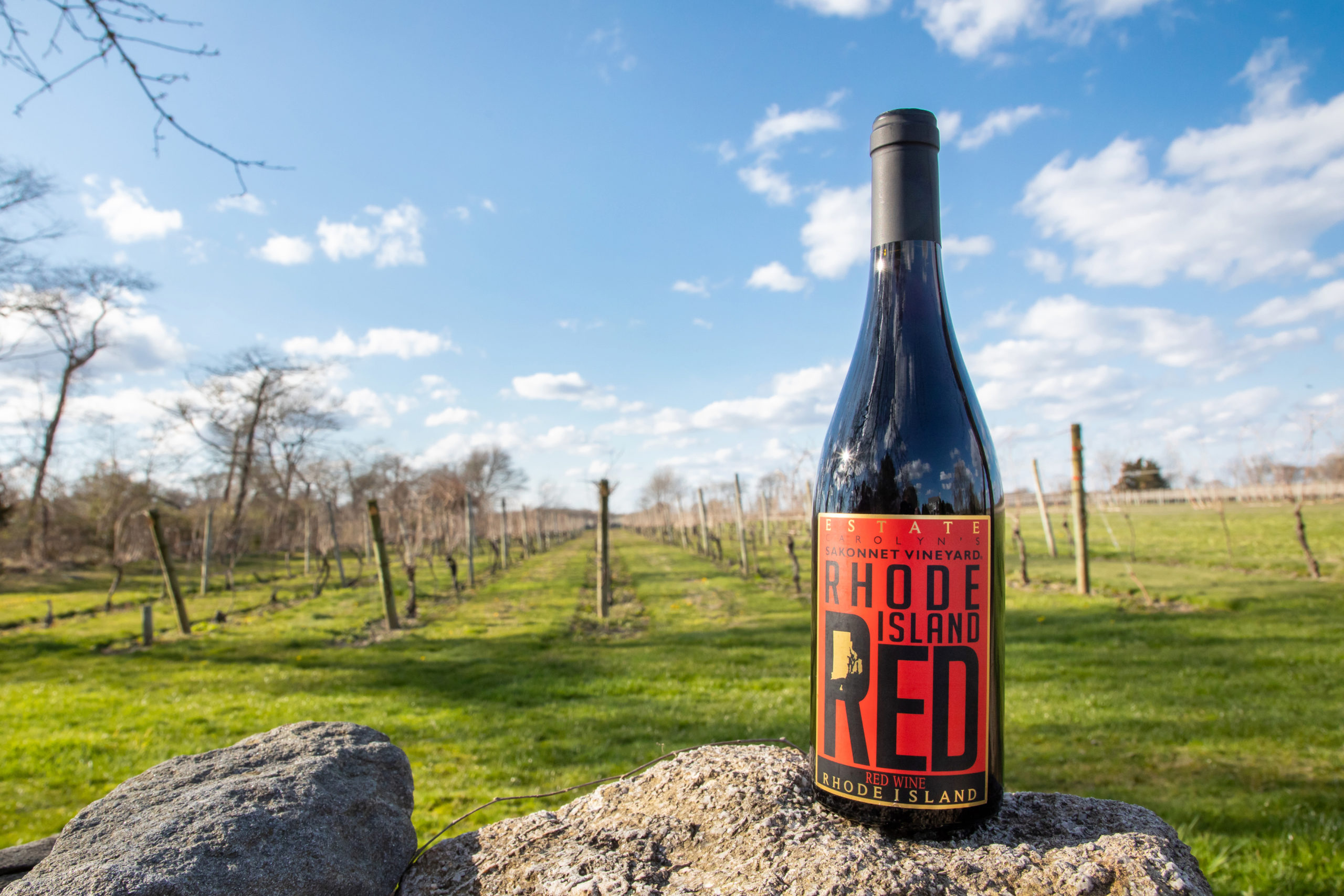 Rhode Island Rhapsody in Red Wine and Whiskey Globe